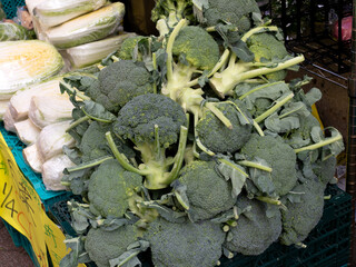 店頭に並んだブロッコリー