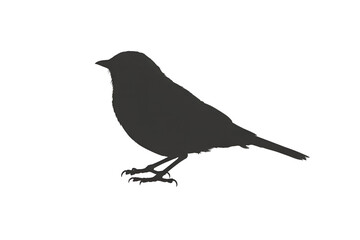 Obraz premium Silhouette of a bird isolated on transparent background