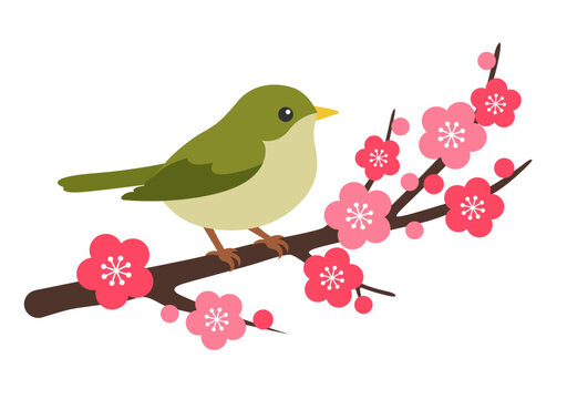 Uguisu Images – Browse 18,447 Stock Photos, Vectors, and Video