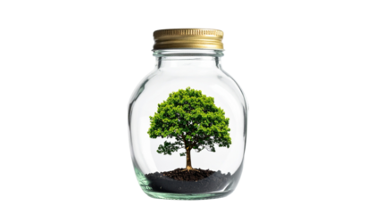Close up of Tree Growing in a Bottle, Concept About Nature and Ecology, Isolated on Transparent Background