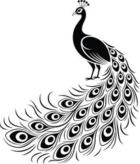 Fototapeta premium Artistic peacock silhouette with detailed tail feathers and graceful decorative design