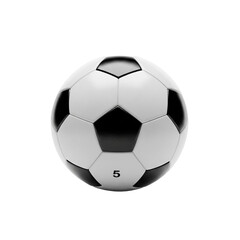 Fototapeta premium soccer ball isolated
