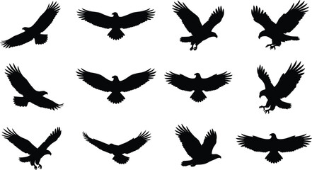 Obraz premium Flying eagle silhouettes set, birds of prey wings spread isolated on white background for wildlife design, nature branding projects