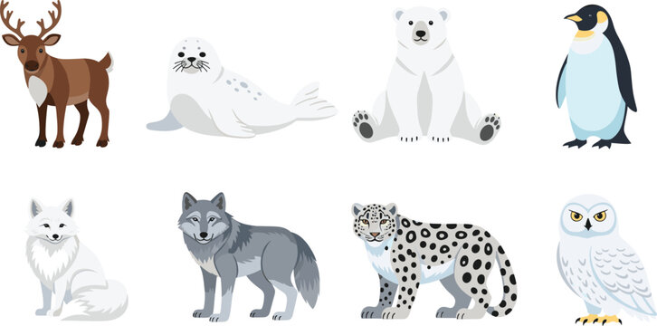 Arctic animal vector set with reindeer seal polar bear penguin arctic fox wolf snow leopard and snowy owl isolated on white background.