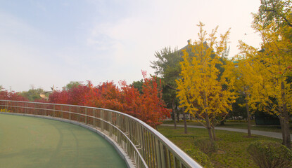 Overpass in autumn