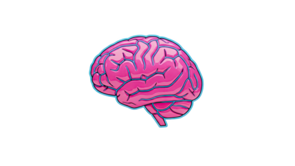 Stylized Pink Brain Illustration