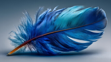 Vibrant blue feather with orange quill on gradient background, symbolizing freedom and tranquility in nature, perfect for design and artistic projects