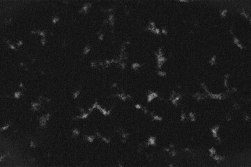 Vintage Film Texture Background with Realistic Movie Grain, Retro Dust Specks, Gritty Overlay Scratches, Antique Cinematic Noise, and Distressed Glitch Effects