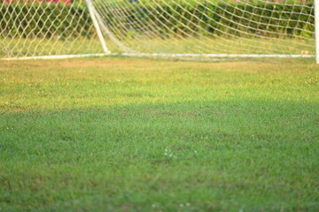 goal of football on green grass background, object of sport