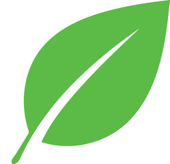 Green Leaf Vector Illustration Isolated on White Background, Eco Nature Design