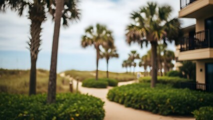 A tropical beachside resort pathway lined with palm trees and greenery