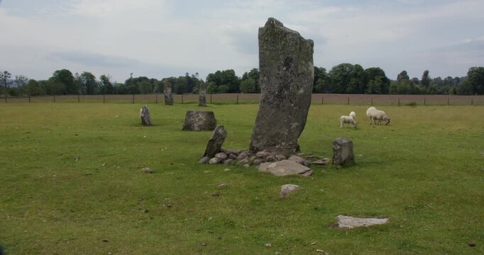wide Shot of the central and southern Standing Stones of Nether Largie at Kilmartin with sheep in frame