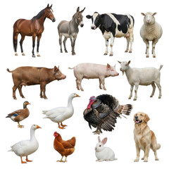 Obraz premium Collection of various farm animals isolated on transparent background