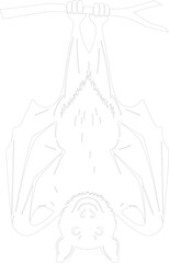 Bat Hanging Upside Down Line Art Vector Illustration Simple Outline Drawing on Tree Branch Black and White Design for Coloring Book or Halloween
