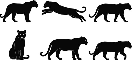 Panther silhouette vector, big cat poses, dynamic feline movement illustration, wild animal graphic design, nature themed predator art, flavector © MdMasud