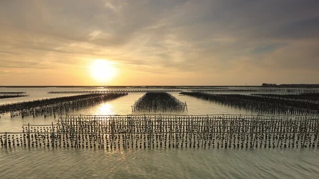 Seashore Oyster farms at Wang Liao Harbor Dongshi, Chiayi County, Budai Township, Taiwan