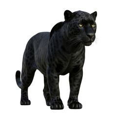 Majestic black panther standing alert isolated on transparent background