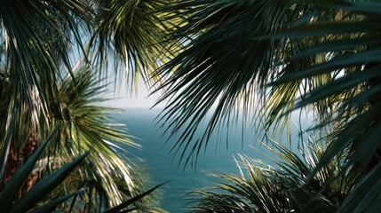 Lush Tropical Palm Fronds Framing a Serene Azure Ocean View Under Bright Sunlight
