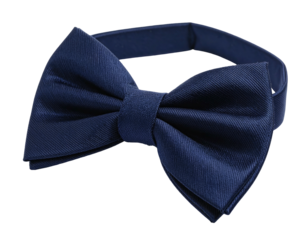 A close-up shot of a dark navy blue bow tie with a self-tie design