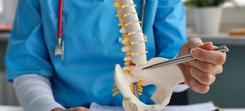 A trauma surgeon demonstrates the anatomy of the spine using a model in a clinic.