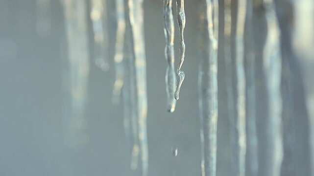 Handheld slow-motion video of icicles dripping water with selective focus in a cold winter outdoor setting