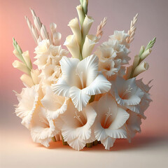 季節を告げるグラジオラス