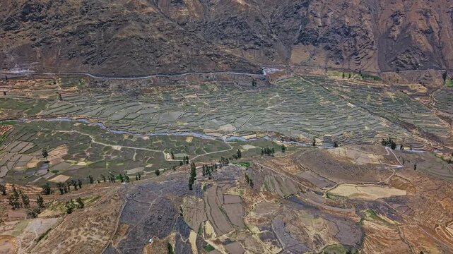 Smooth panning drone over terraced farmland reveals striking mix of green and dry yellow fields at base of steep Andean mountains. Rugged cliffs and terrain emphasise scale contrast ancient land use.