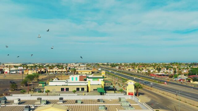 Drone footage of birds flying above Calexico city, combining wildlife movement with urban desert environment.