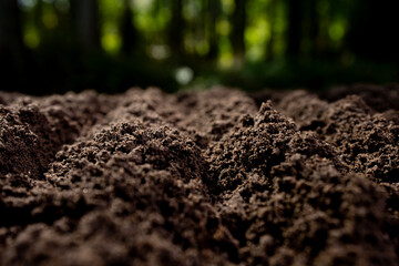 Fertile farm soil background. Humus and clay. Cultivated ground in rural farm field. Freshly plowed earth. Organic compost mixed into farm soil. Fertile soil. Groundwork and soil for cultivation.