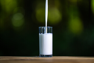 Natural milk pour outdoor. Glass of fresh milk with splash. Dairy for healthy nutrition concept. Milk drink captured in summer sunlight.