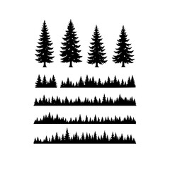 Fototapeta premium Silhouettes of tall pine trees