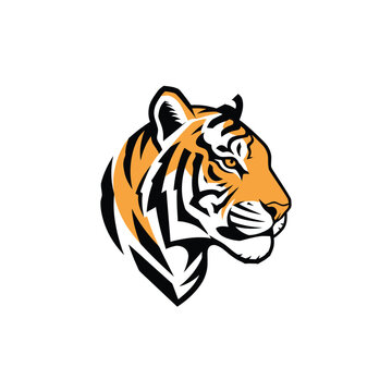 Tiger head profile illustration with orange and black stripes, fierce animal portrait.