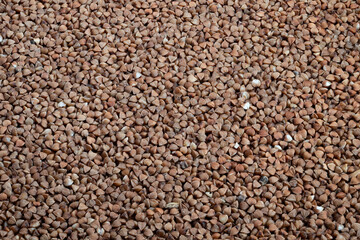 Buckwheat grain closeup, Raw buckwheat kernels in detail, Rustic style background with buckwheat groats, Textural reveal of brown buckwheat kernels for culinary use