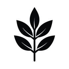 Sage Leaf Sprig Icon Vector Illustration