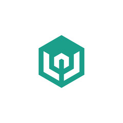 Sleek and modern geometric abstract logo design within a vibrant teal hexagon, embodying innovation, digital progress, and strong foundational principles for modern branding