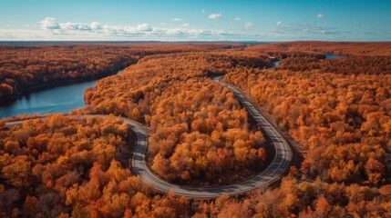 Winding road through autumn forest