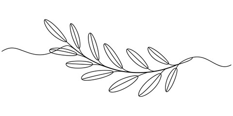 Olive Branch Continuous One Line Drawing Vector Illustration.  Modern single line art drawing. Continuous line drawing. Outline draw design.  © Creative Tania