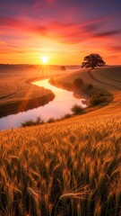 Serene Sunset Over River Flowing Through Golden Wheat Fields