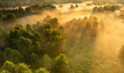 High view of fog over trees