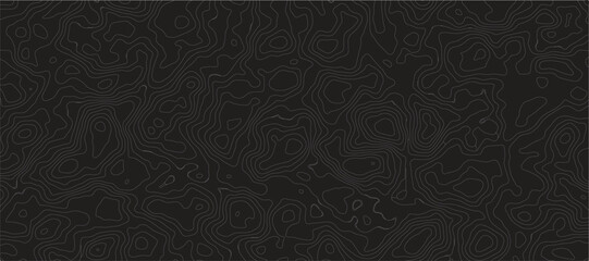 Topographic Map Pattern Abstract Geographical Featuring Elegant Elevation Contour Lines, Organic Terrain Textures, and Minimalist Relief Mapping for Modern Design.