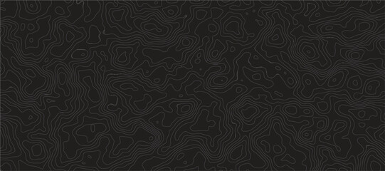 Topographic Map Pattern Abstract Geographical Featuring Elegant Elevation Contour Lines, Organic Terrain Textures, and Minimalist Relief Mapping for Modern Design.