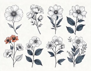 Collection of stylized floral illustrations, featuring various blooms, stems, and leaves, with intricate line art and subtle color accents