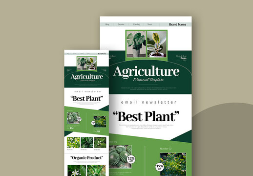 Email Newsletter Template Layout