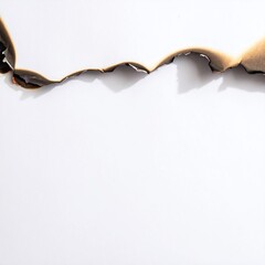 Burnt paper edge against white backdrop with jagged, charred details