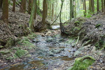 Mountain stream, moss-covered rocks, flowing river water