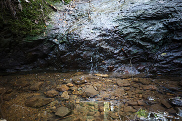 Mountain stream, moss-covered rocks, flowing river water