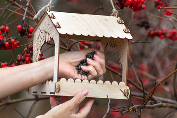 A woman puts sunflower seeds in a bird feeder