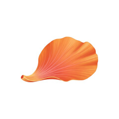 Fototapeta premium Vibrant Hibiscus Petal Close-up on Transparent Background