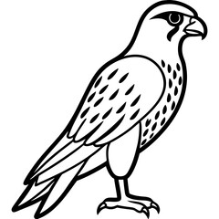 Hunting Falcon Vector Illustration