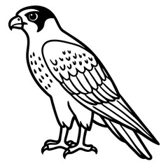Hunting Falcon Vector Illustration